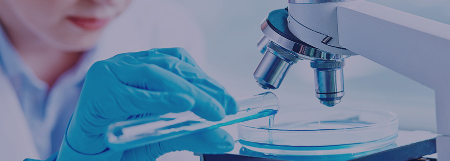 澳门开彩结果记录查询