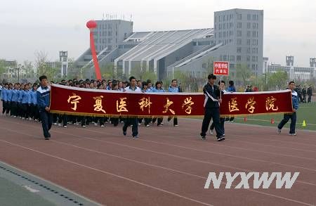 澳门开彩结果记录查询