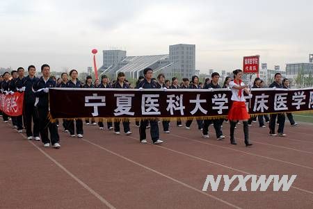 澳门开彩结果记录查询
